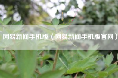 网易新闻手机版（网易新闻手机版官网）