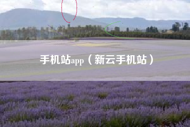 手机站app（新云手机站）