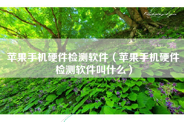 苹果手机硬件检测软件（苹果手机硬件检测软件叫什么）