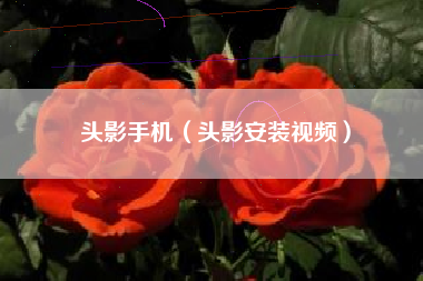 头影手机（头影安装视频）