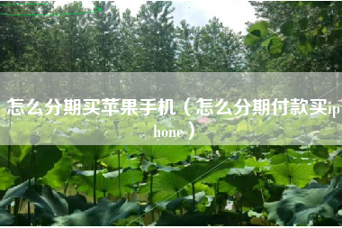 怎么分期买苹果手机（怎么分期付款买iphone）