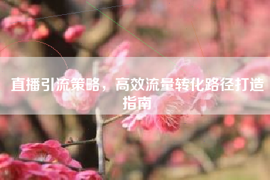 直播引流策略，高效流量转化路径打造指南