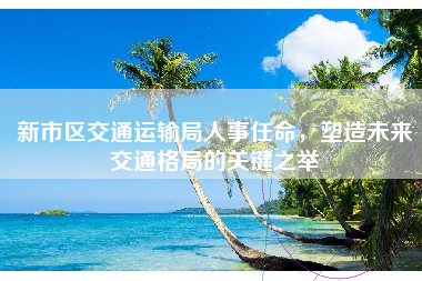 新市区交通运输局人事任命，塑造未来交通格局的关键之举