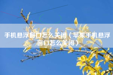手机悬浮窗口怎么关闭（苹果手机悬浮窗口怎么关闭）