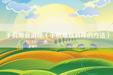 手机噪音消除（手机噪音消除的方法）