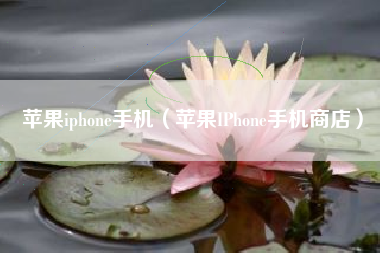 苹果iphone手机（苹果IPhone手机商店）