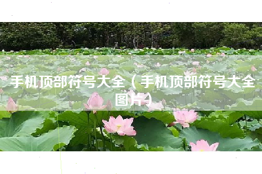 手机顶部符号大全（手机顶部符号大全图片）