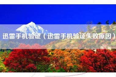 迅雷手机验证（迅雷手机验证失败原因）