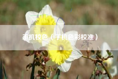 手机校色（手机色彩校准）