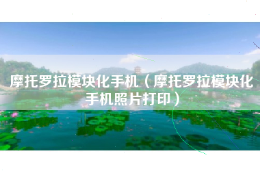 摩托罗拉模块化手机（摩托罗拉模块化手机照片打印）