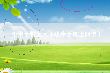 小米手机上网（小米手机上网卡）