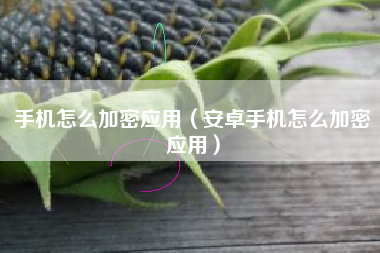 手机怎么加密应用（安卓手机怎么加密应用）