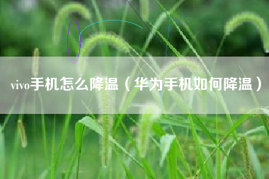 vivo手机怎么降温（华为手机如何降温）