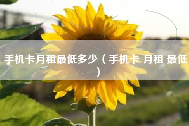 手机卡月租最低多少（手机卡 月租 最低）