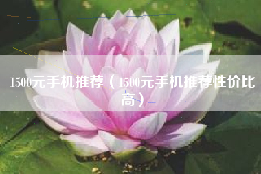 1500元手机推荐（1500元手机推荐性价比高）