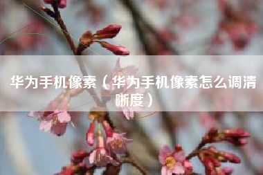 华为手机像素（华为手机像素怎么调清晰度）
