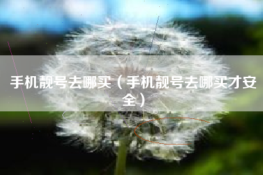 手机靓号去哪买（手机靓号去哪买才安全）
