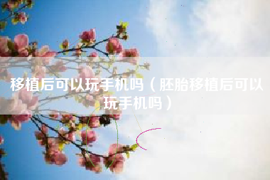 移植后可以玩手机吗（胚胎移植后可以玩手机吗）