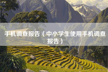 手机调查报告（中小学生使用手机调查报告）