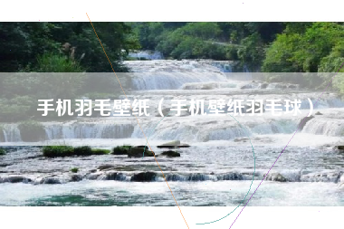 手机羽毛壁纸（手机壁纸羽毛球）