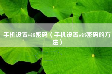 手机设置wifi密码（手机设置wifi密码的方法）