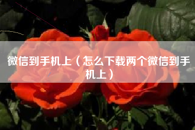 微信到手机上（怎么下载两个微信到手机上）