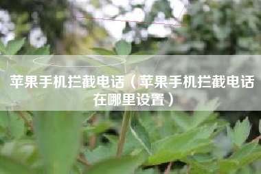 苹果手机拦截电话（苹果手机拦截电话在哪里设置）