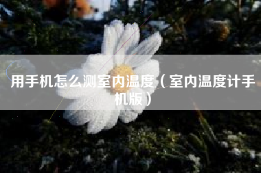 用手机怎么测室内温度（室内温度计手机版）