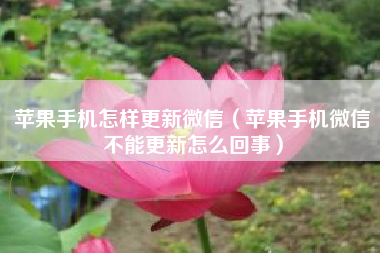 苹果手机怎样更新微信（苹果手机微信不能更新怎么回事）