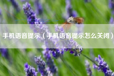 手机语音提示（手机语音提示怎么关闭）