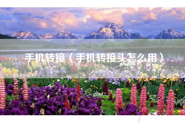 手机转接（手机转接头怎么用）
