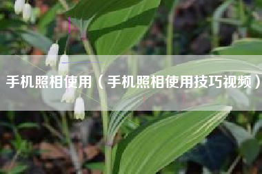 手机照相使用（手机照相使用技巧视频）