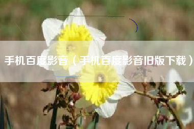 手机百度影音（手机百度影音旧版下载）