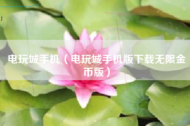 电玩城手机（电玩城手机版下载无限金币版）