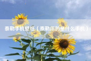 泰勒手机壁纸（泰勒用的是什么手机）