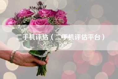 二手机评估（二手机评估平台）