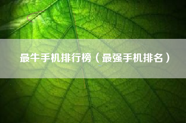最牛手机排行榜（最强手机排名）