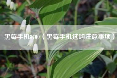黑莓手机8700（黑莓手机选购注意事项）