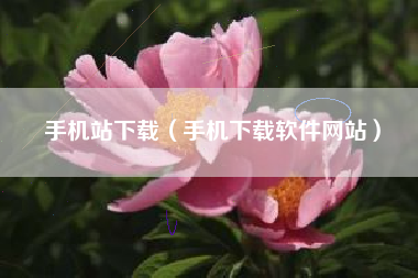 手机站下载（手机下载软件网站）