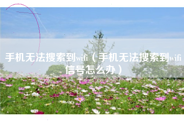手机无法搜索到wifi（手机无法搜索到wifi信号怎么办）