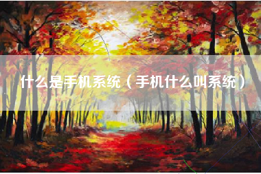 什么是手机系统（手机什么叫系统）