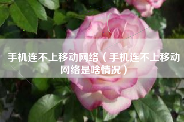 手机连不上移动网络（手机连不上移动网络是啥情况）