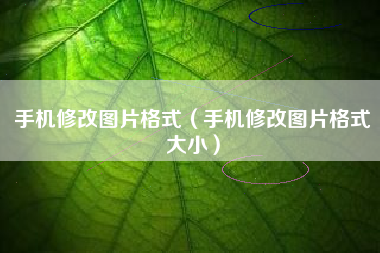 手机修改图片格式（手机修改图片格式大小）