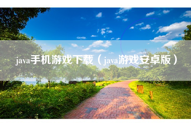 java手机游戏下载（java游戏安卓版）