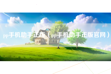 pp手机助手正版（pp手机助手正版官网）