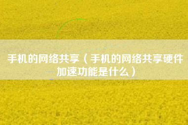 手机的网络共享（手机的网络共享硬件加速功能是什么）