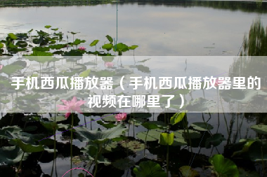 手机西瓜播放器（手机西瓜播放器里的视频在哪里了）