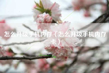 怎么升级手机内存（怎么升级手机内存卡）
