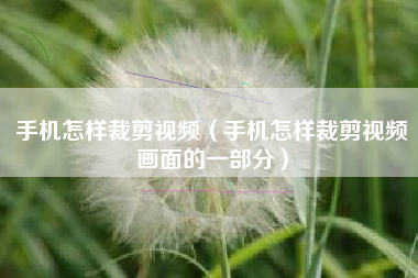 手机怎样裁剪视频（手机怎样裁剪视频画面的一部分）