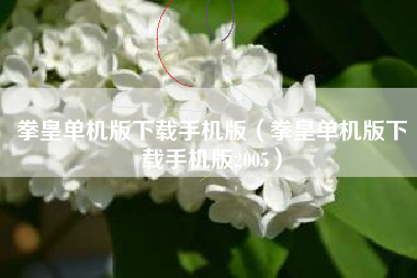 拳皇单机版下载手机版（拳皇单机版下载手机版2005）
